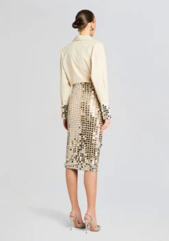 Brelan Embellished Skirt -Retrofete Clothing Shop Ecommerce Crop 24 02 29 OZELLASHIRT BRELANSKIRT CHAMPAGNEDUST 1103 ECOMM 99bd0396 48cb 4dc1 a076 a2eb0390e872 scaled