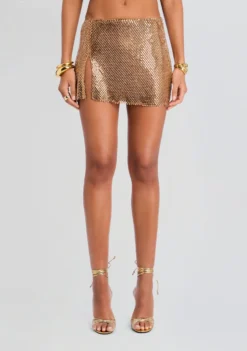 Pax Embellished Skirt